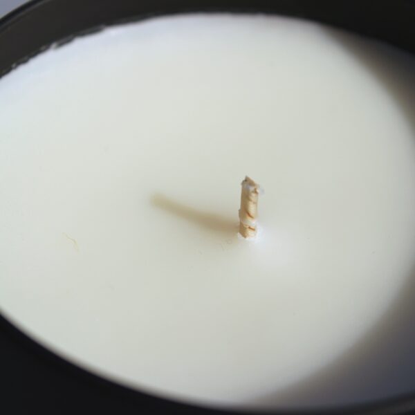 Alpaca candle 8oz Fathers day tobacco absolute soy wax